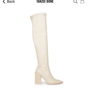 Brand new Steve Madden Tanzee Boots